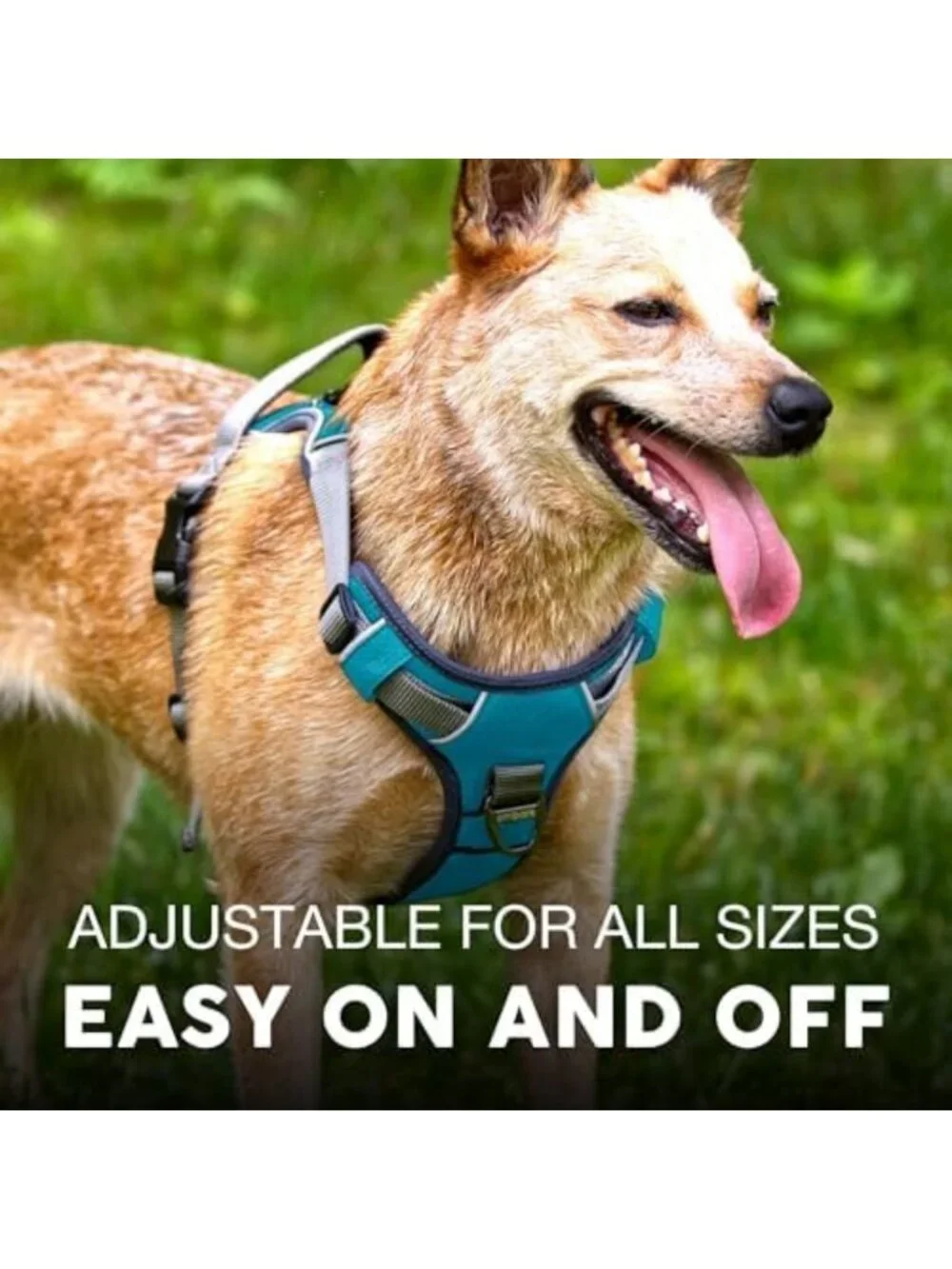 Reflective No Pull Dog Harness - Adjustable Training Vest, No Choke Design
